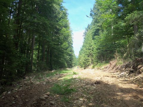 Foto 13